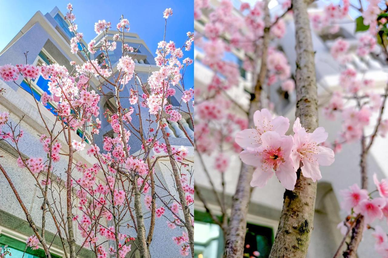 Kobaya 居民 宿 Цзіньху Екстер'єр фото